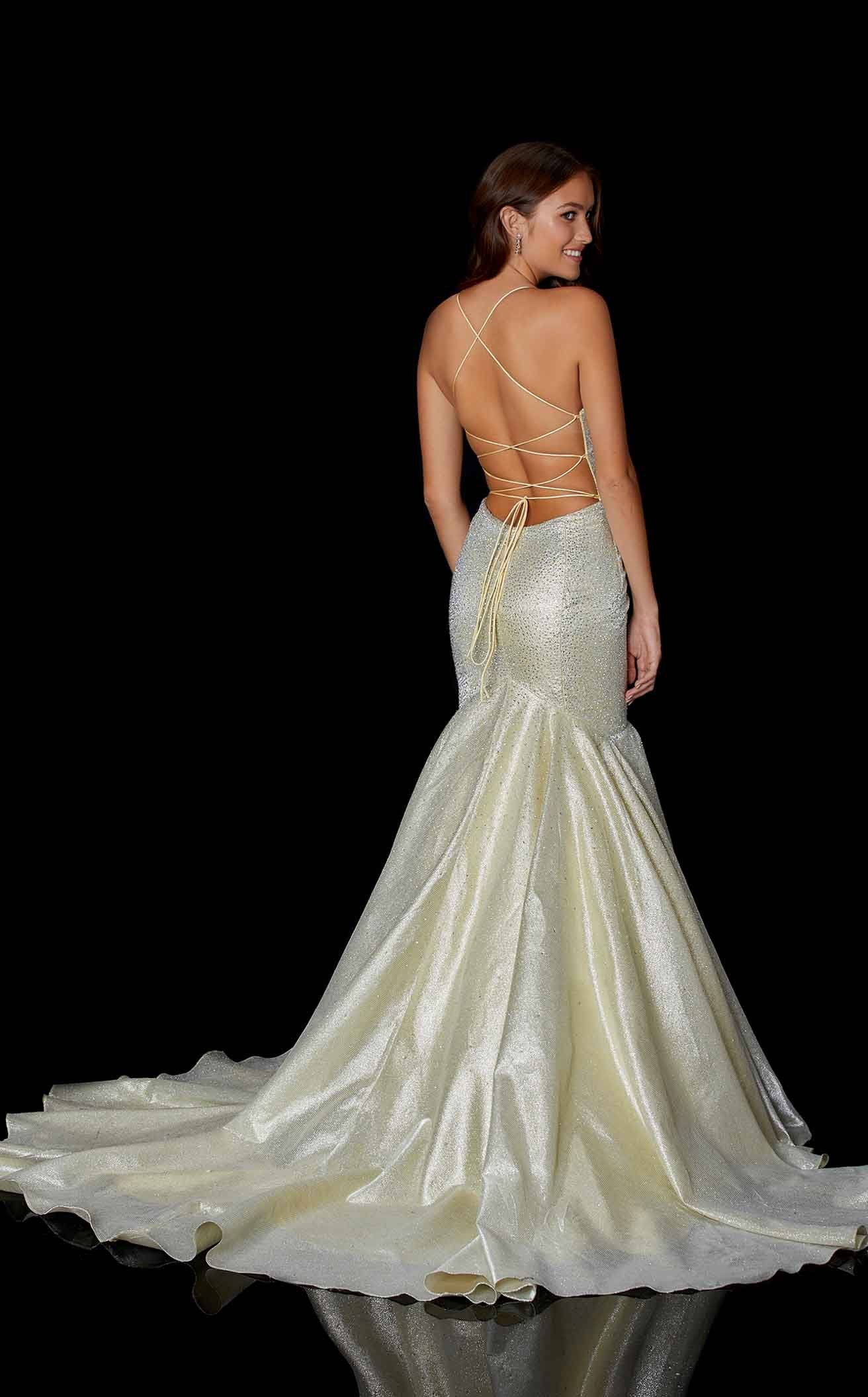 Amarra 87318 Dress - Image 2