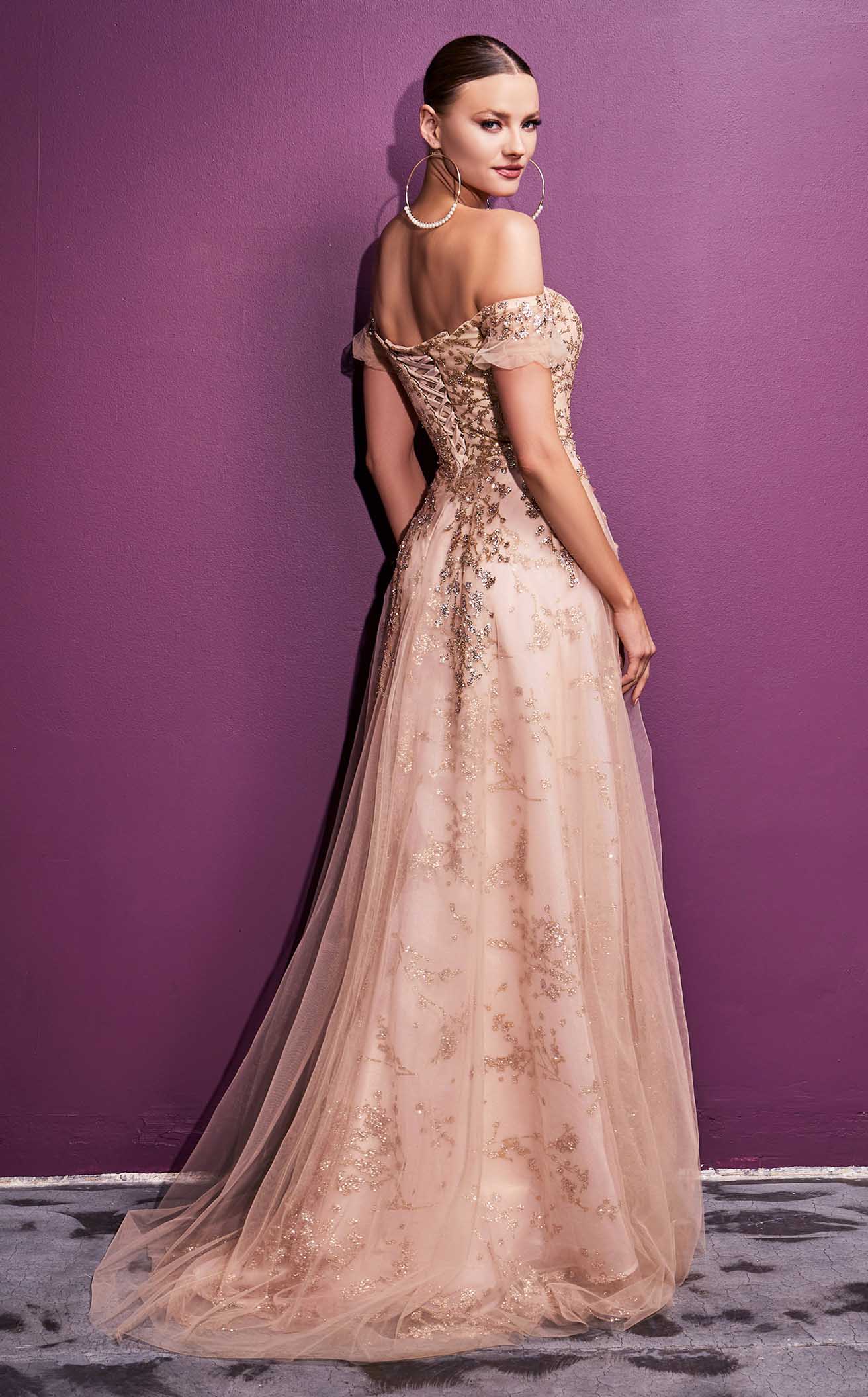 Cinderella Divine C73CL Dress - Image 3