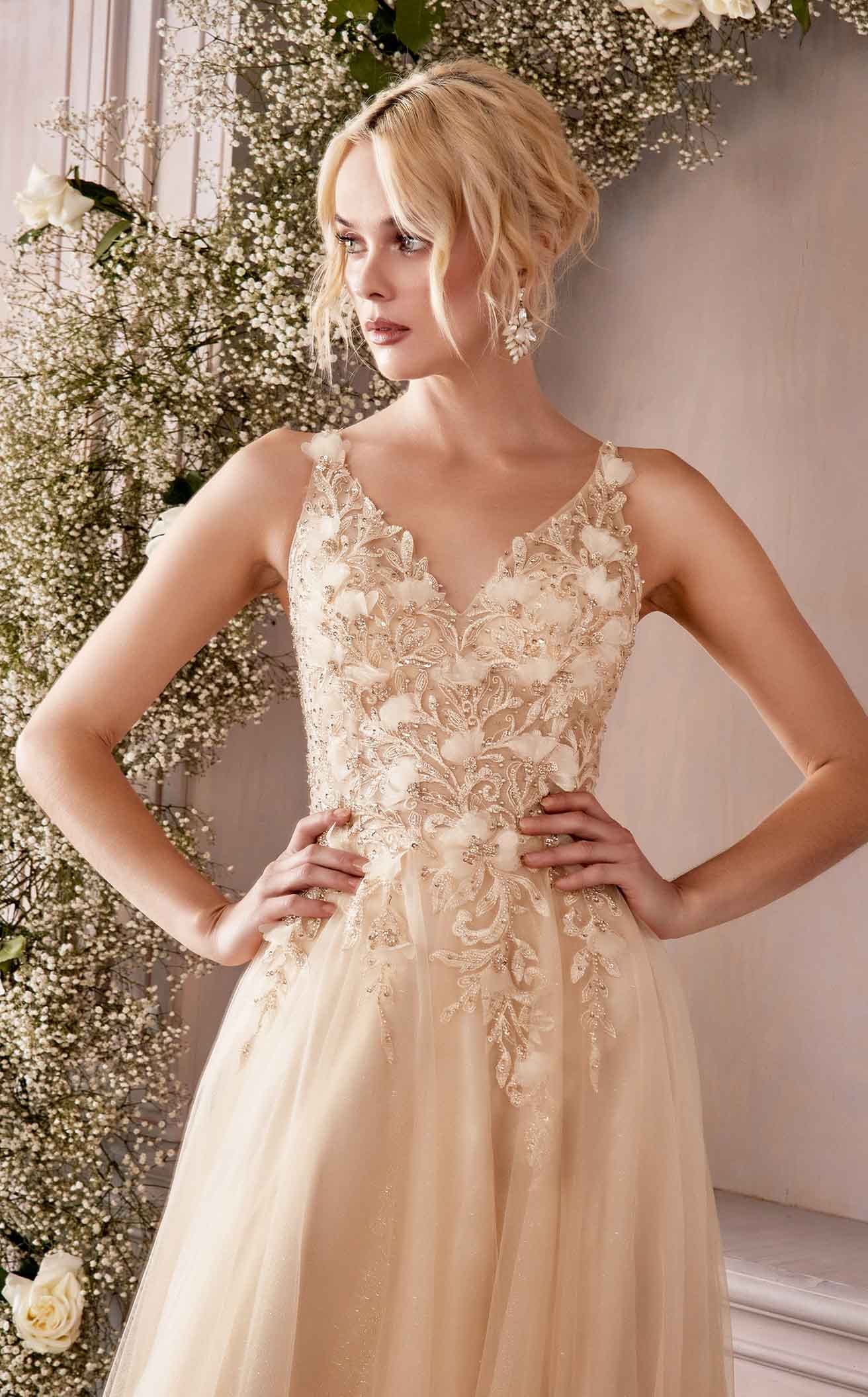 Cinderella Divine CD0181CL Dress - Image 4