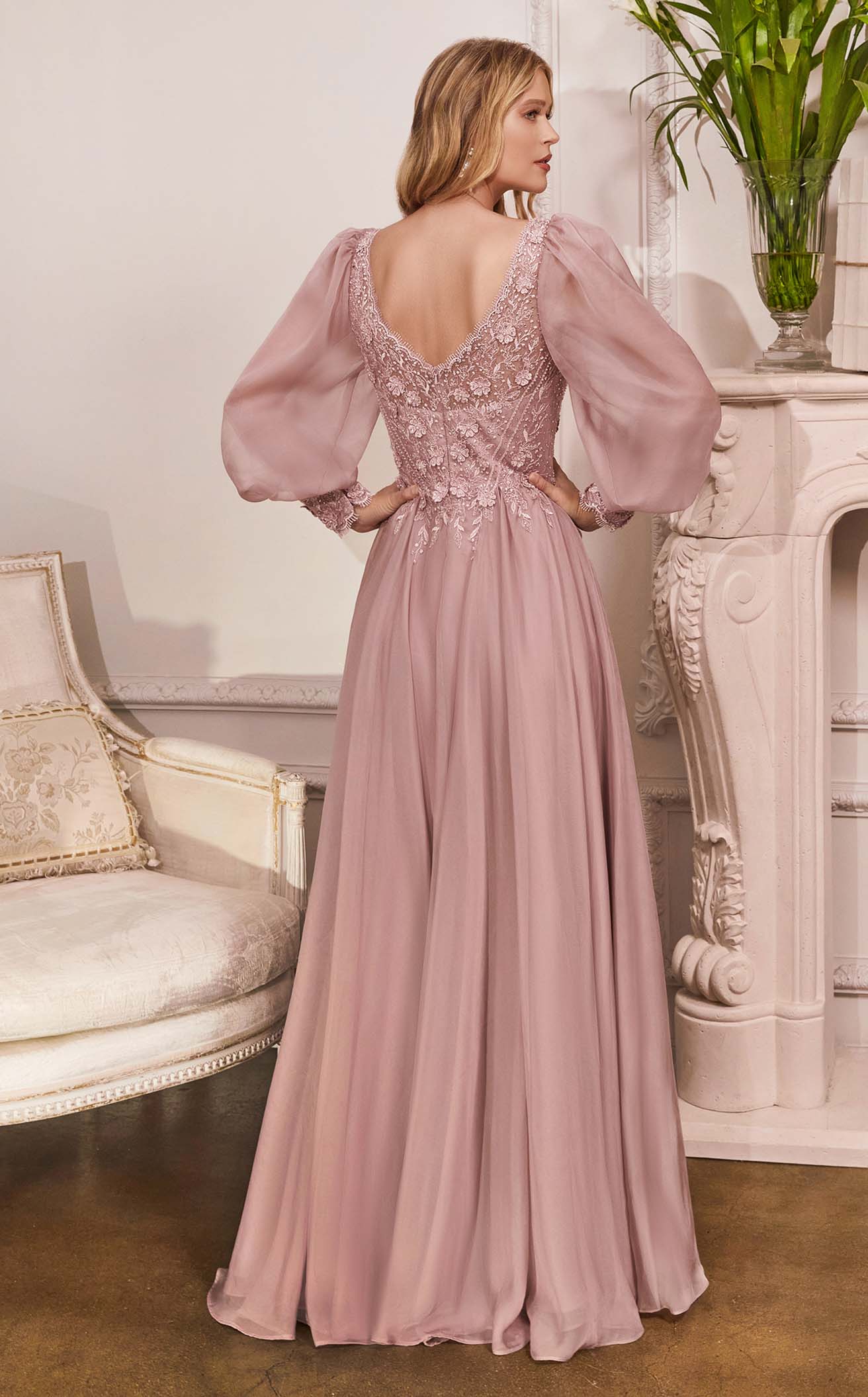 Cinderella Divine CD0183 Dress - Image 4