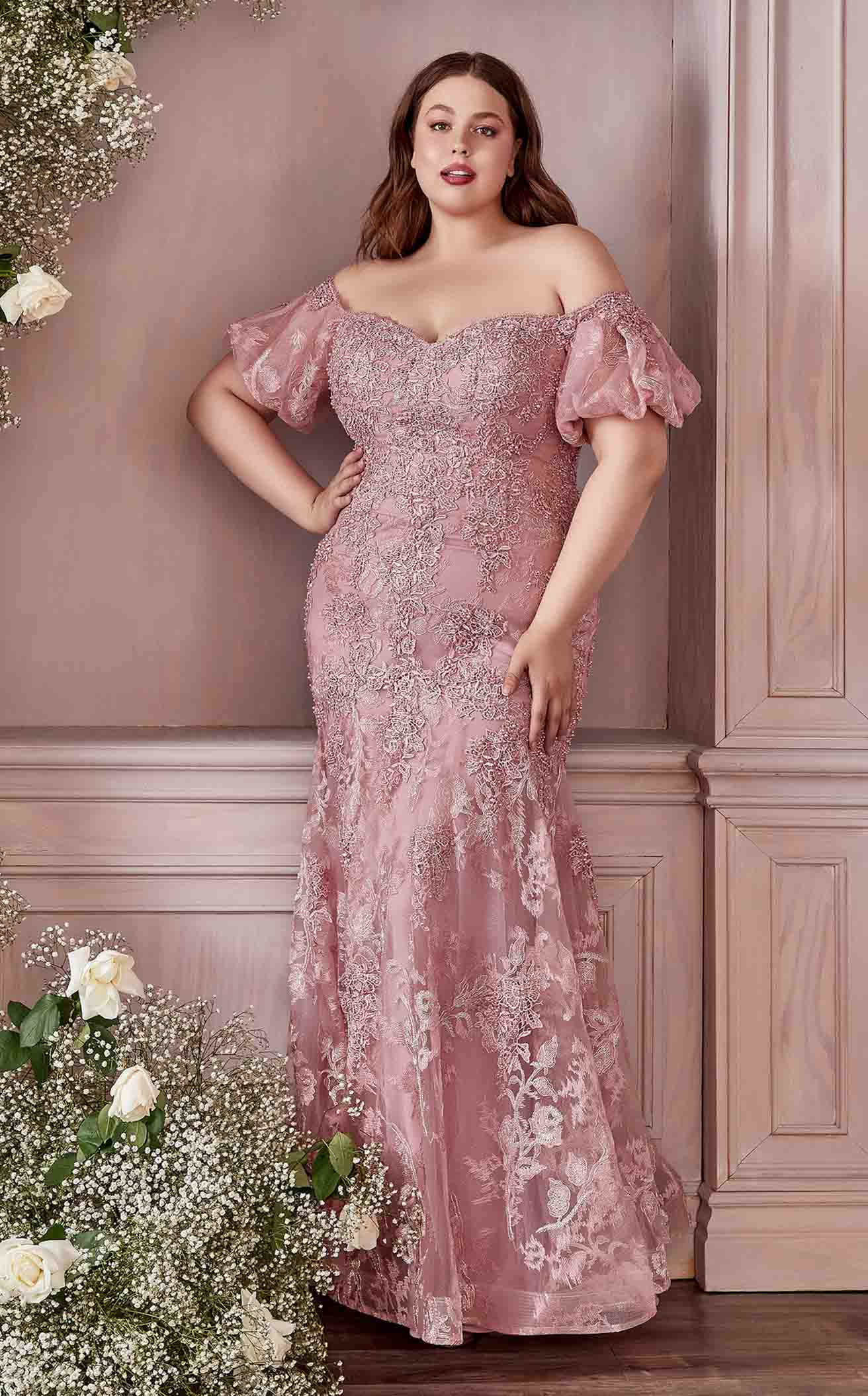 Cinderella Divine CD959CCL Dress