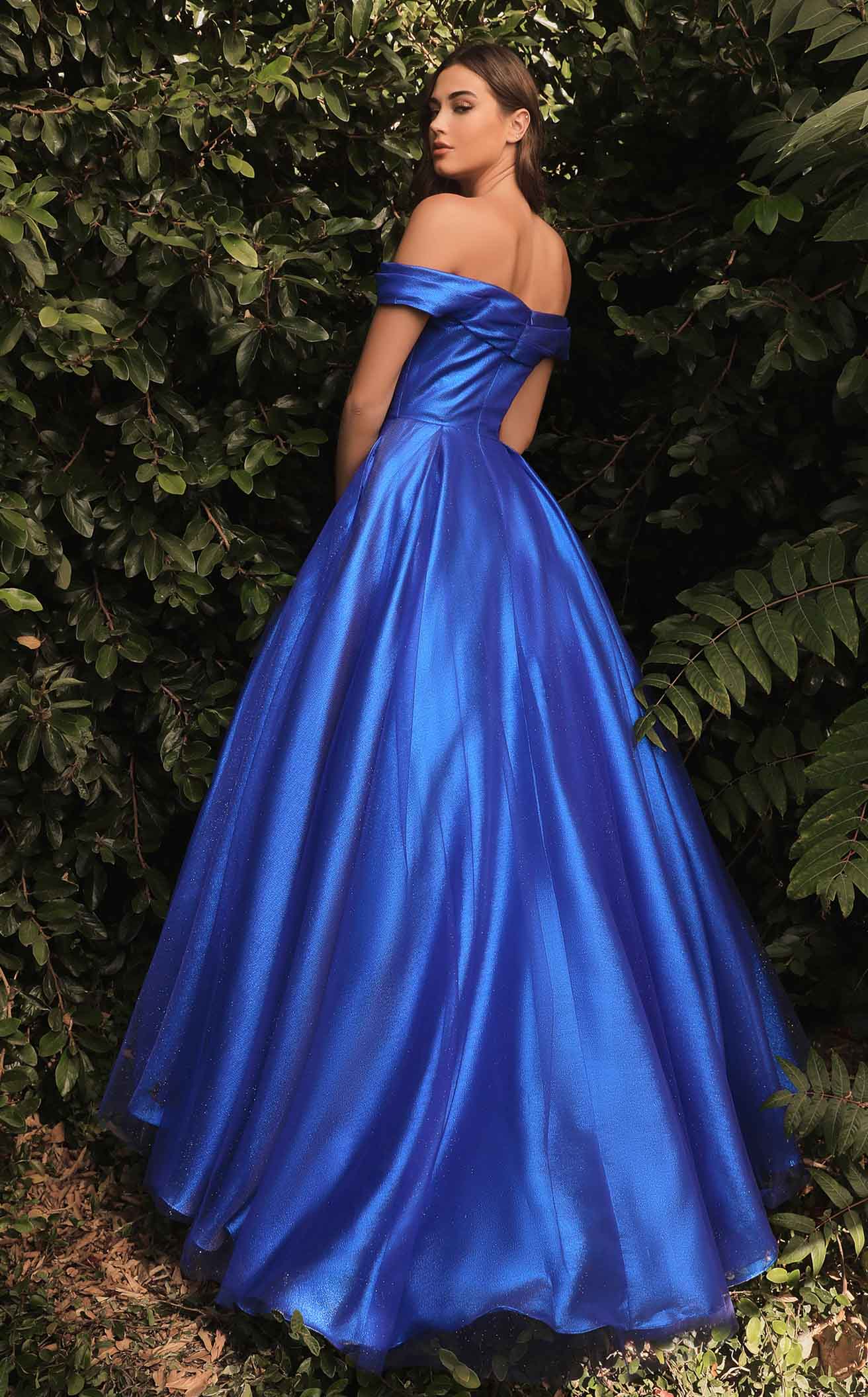 Cinderella Divine J823 Dress - Image 4