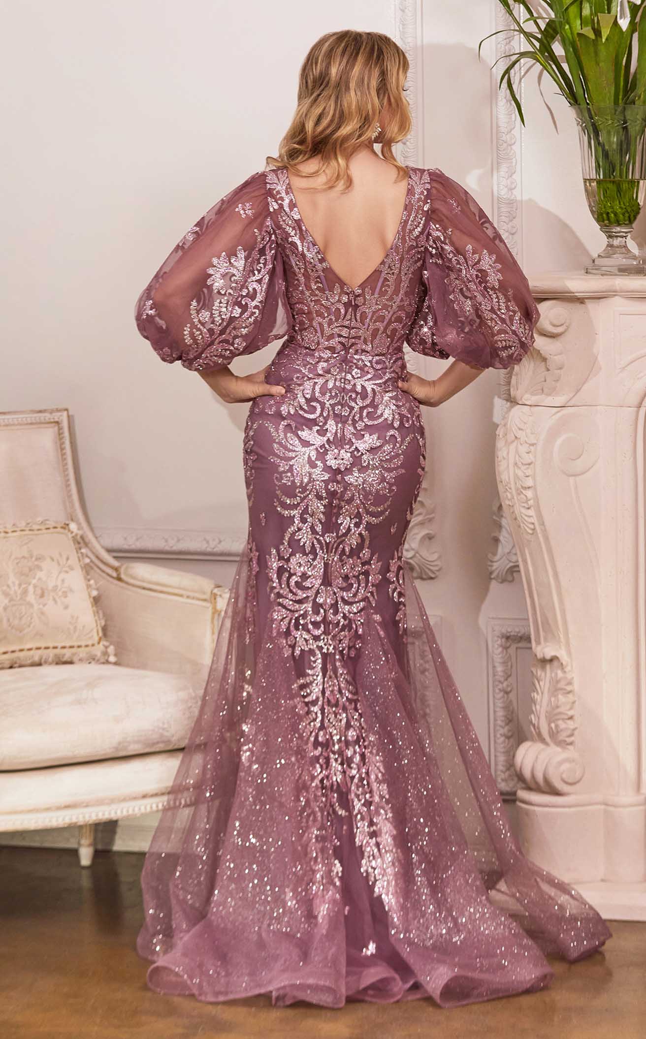 Cinderella Divine OC009 Dress - Image 4