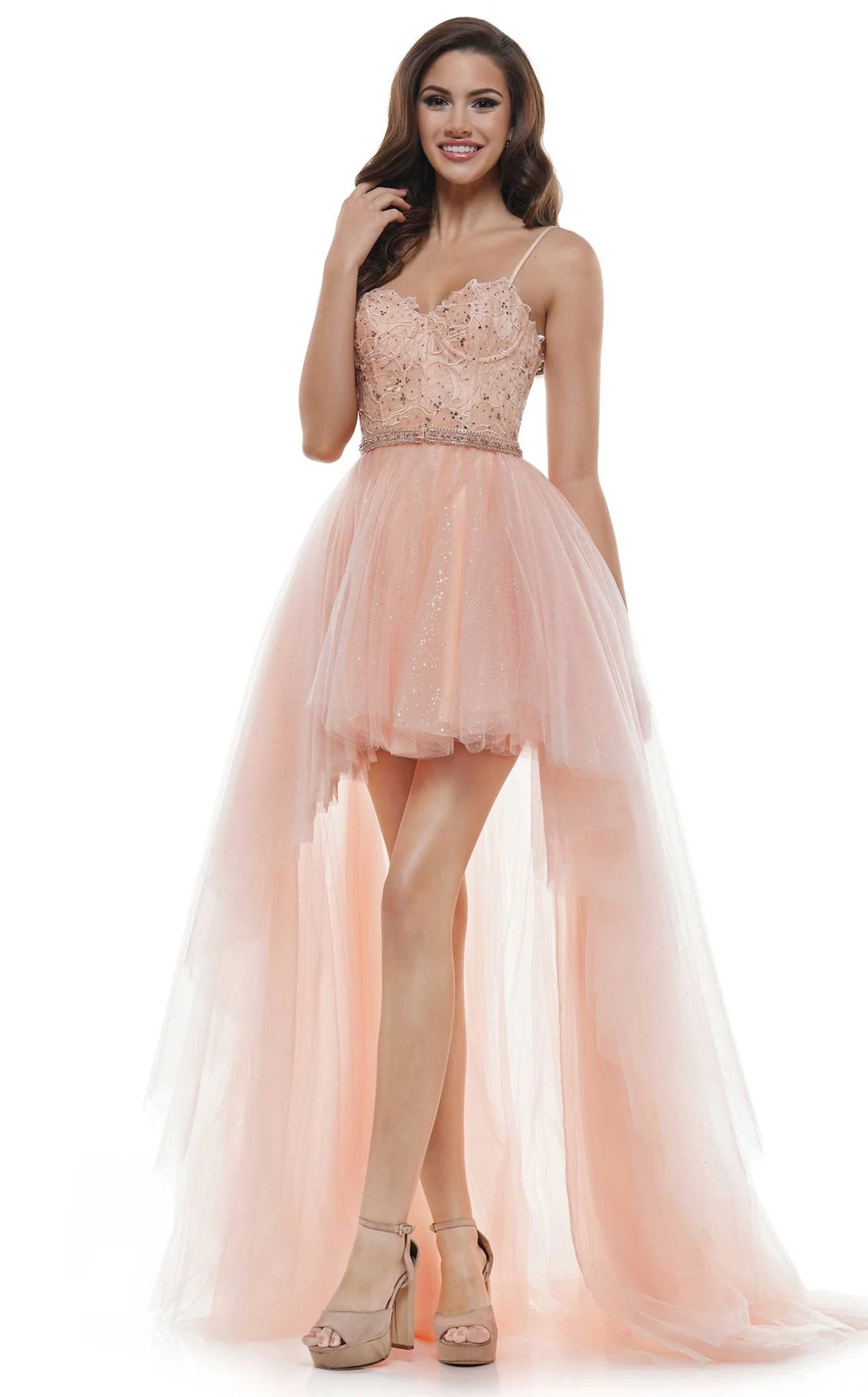 Colors Dress 2483 Dress