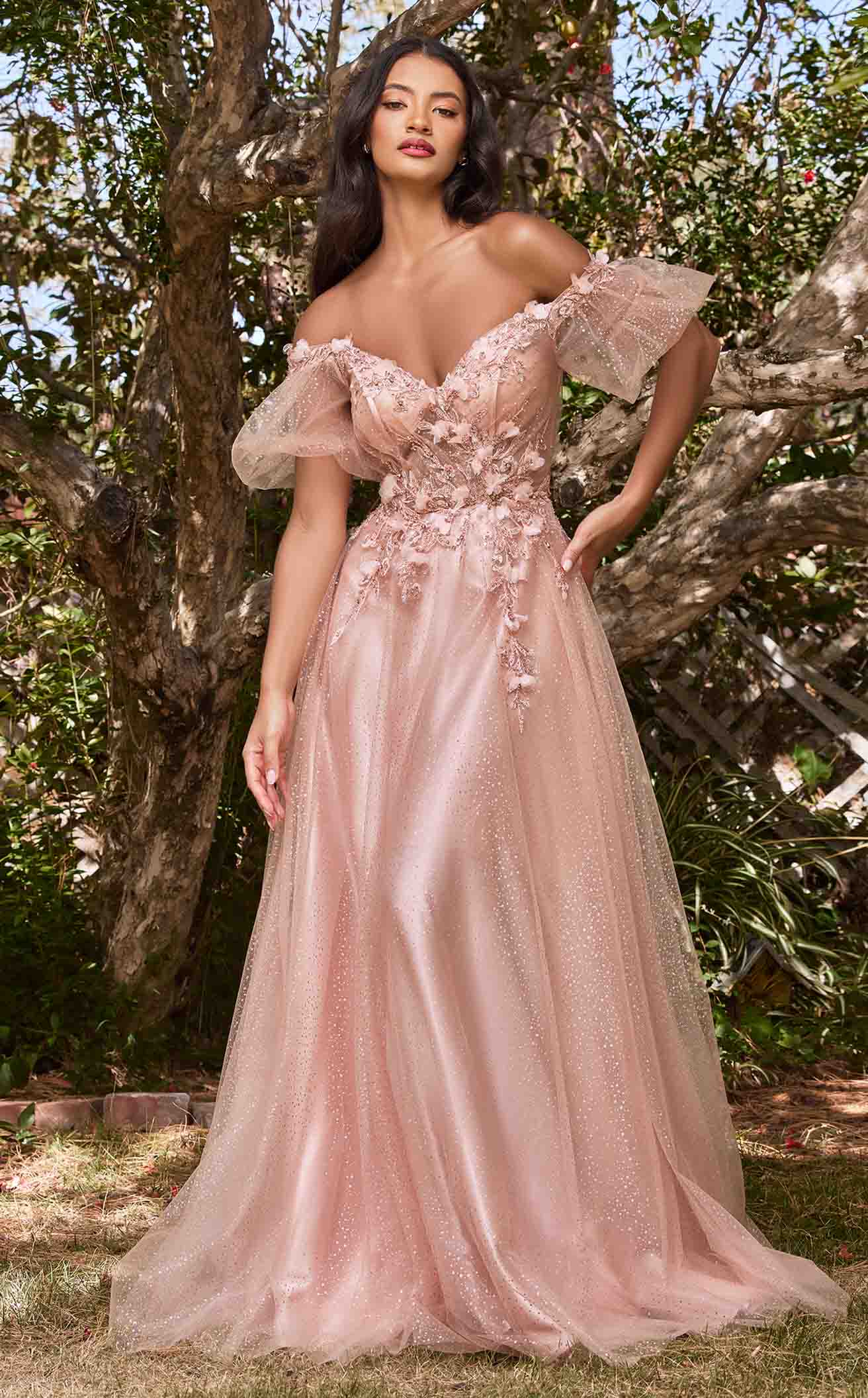 LaDivine CD0197 Dress