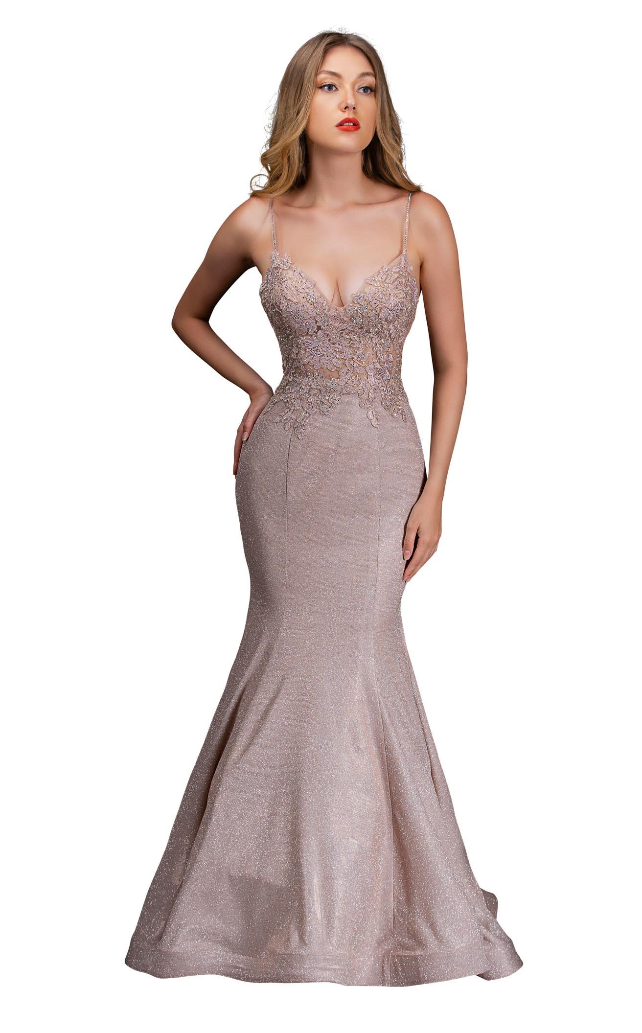 Nina Canacci 3165 Dress