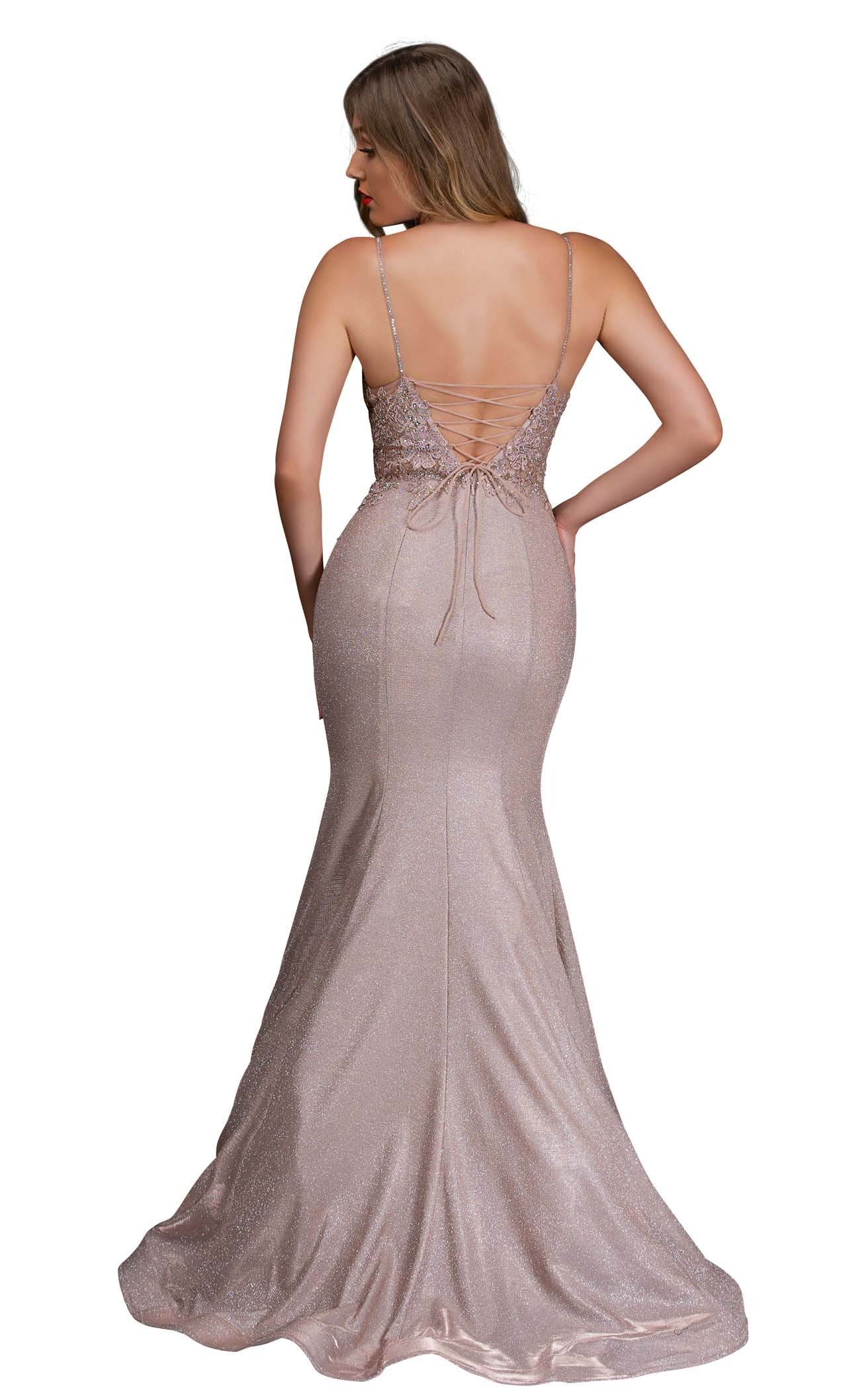 Nina Canacci 3165 Dress - Image 2
