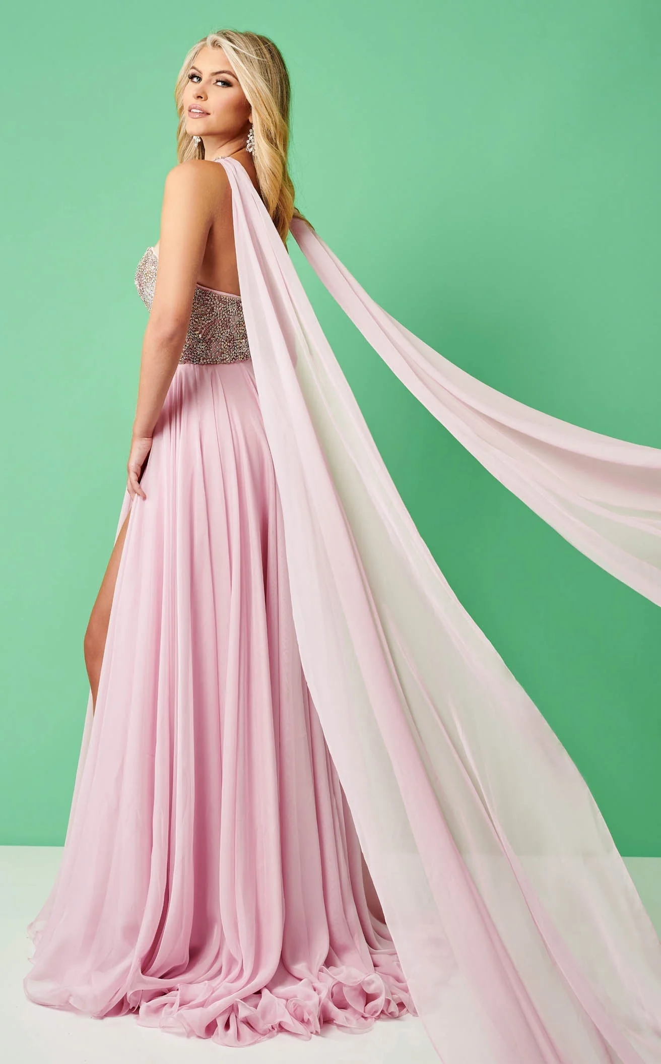Rachel Allan 50226 Dress - Image 3