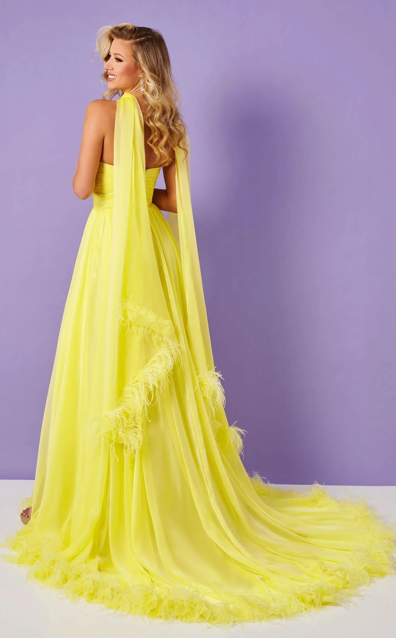 Rachel Allan 70399 Dress - Image 7