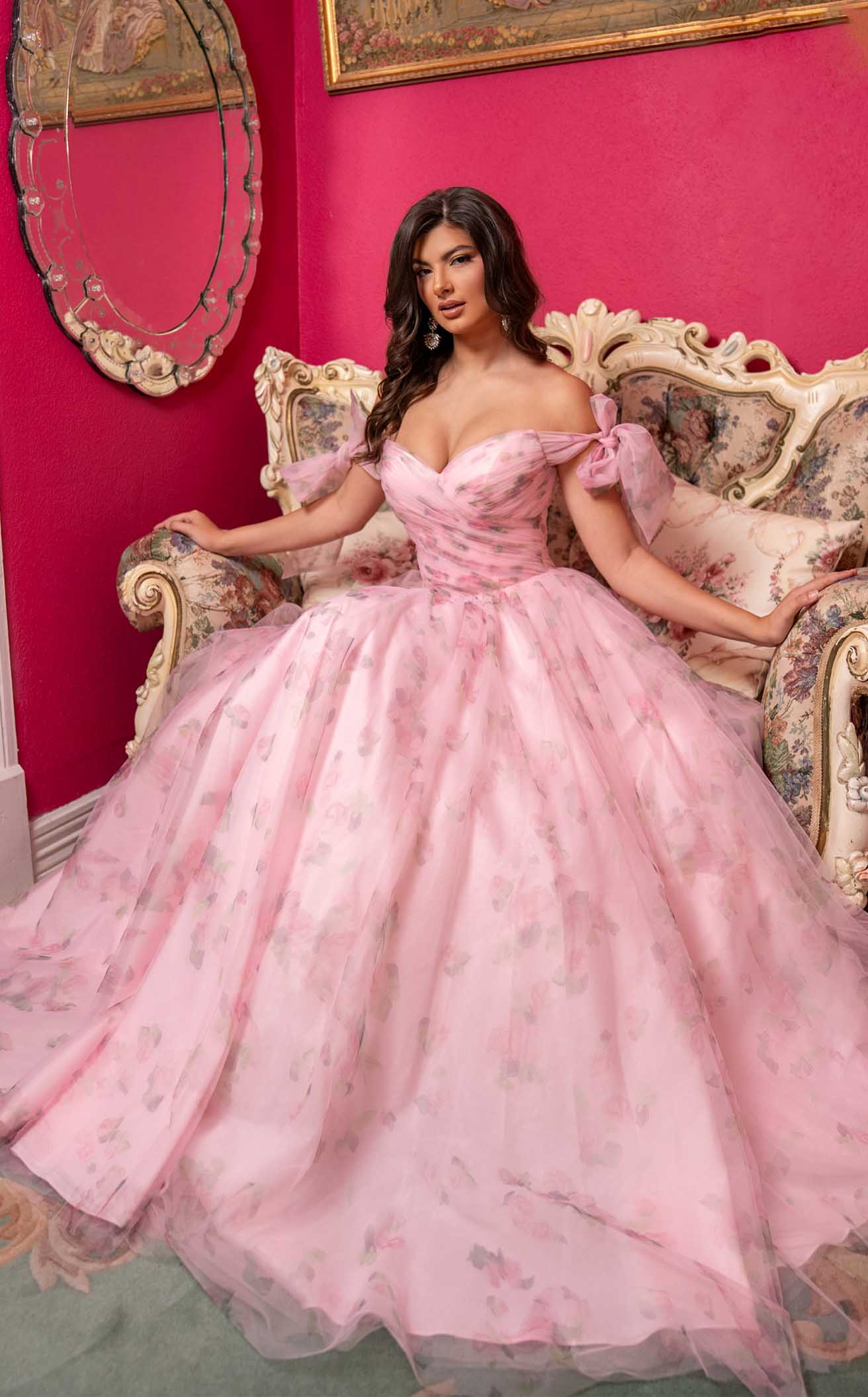 Rachel Allan 70495 Dress - Image 5