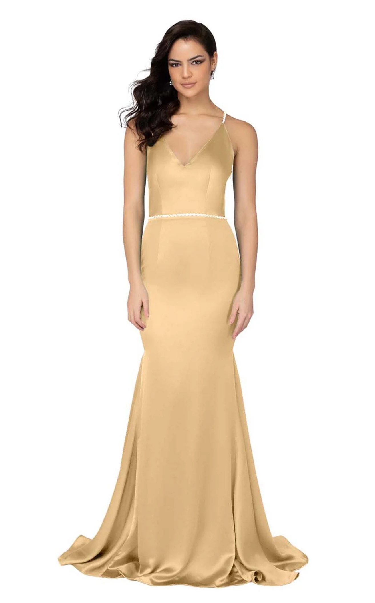 Terani 1911P8171 Dress