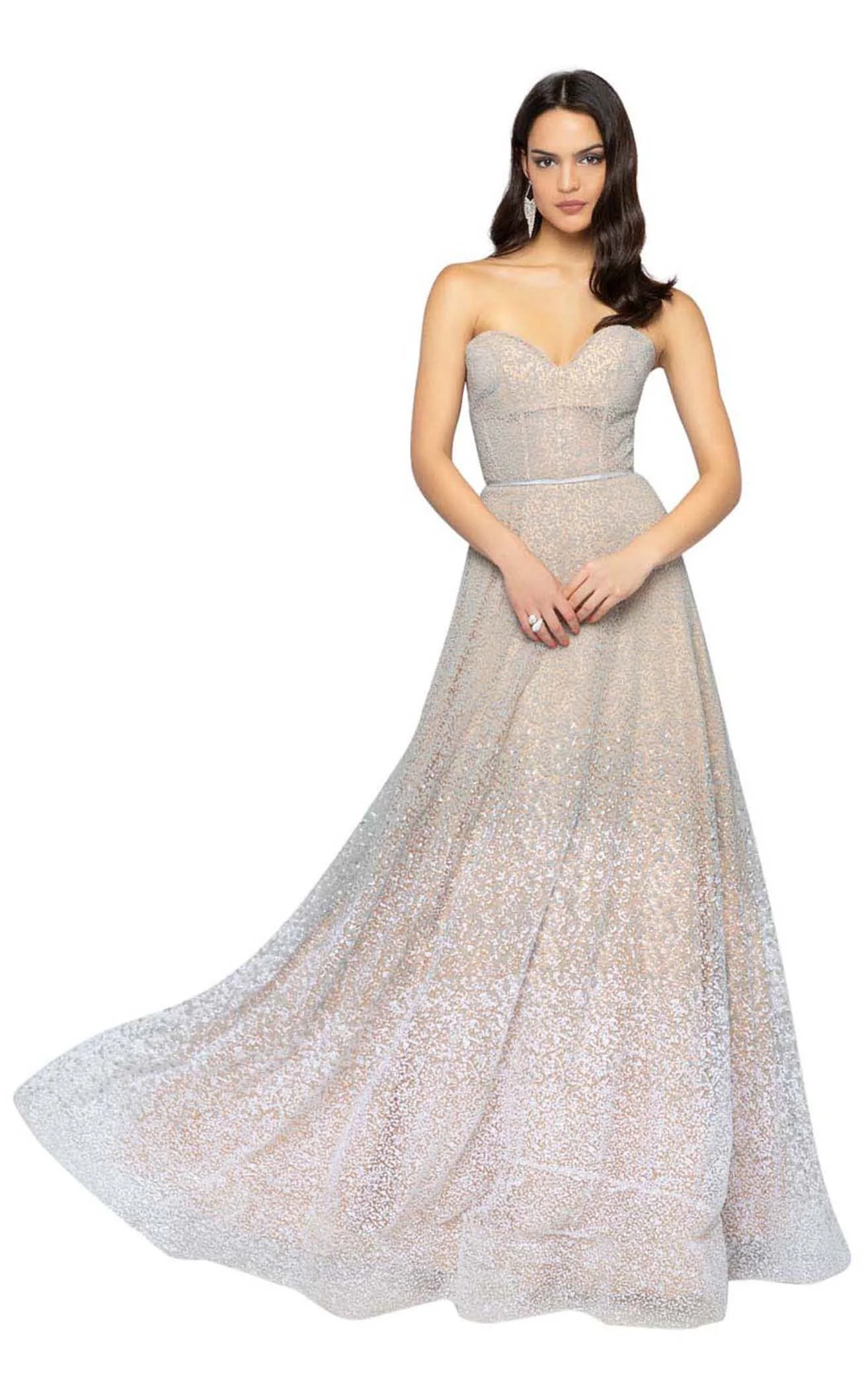 Terani 1911P8482 Dress