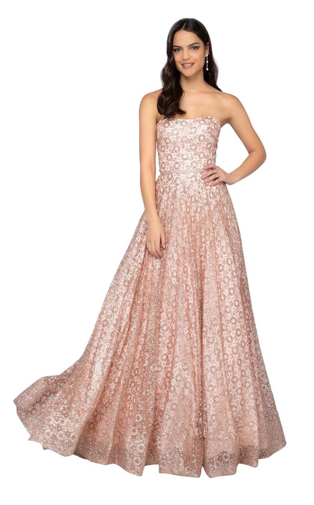 Terani 1911P8492 Dress