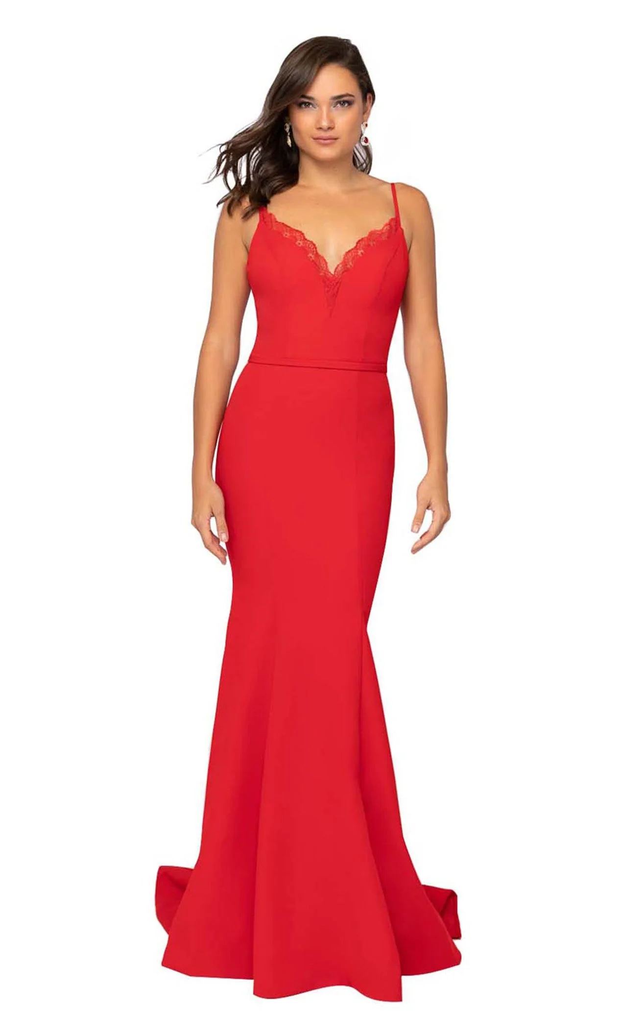 Terani 1912P8219 Dress