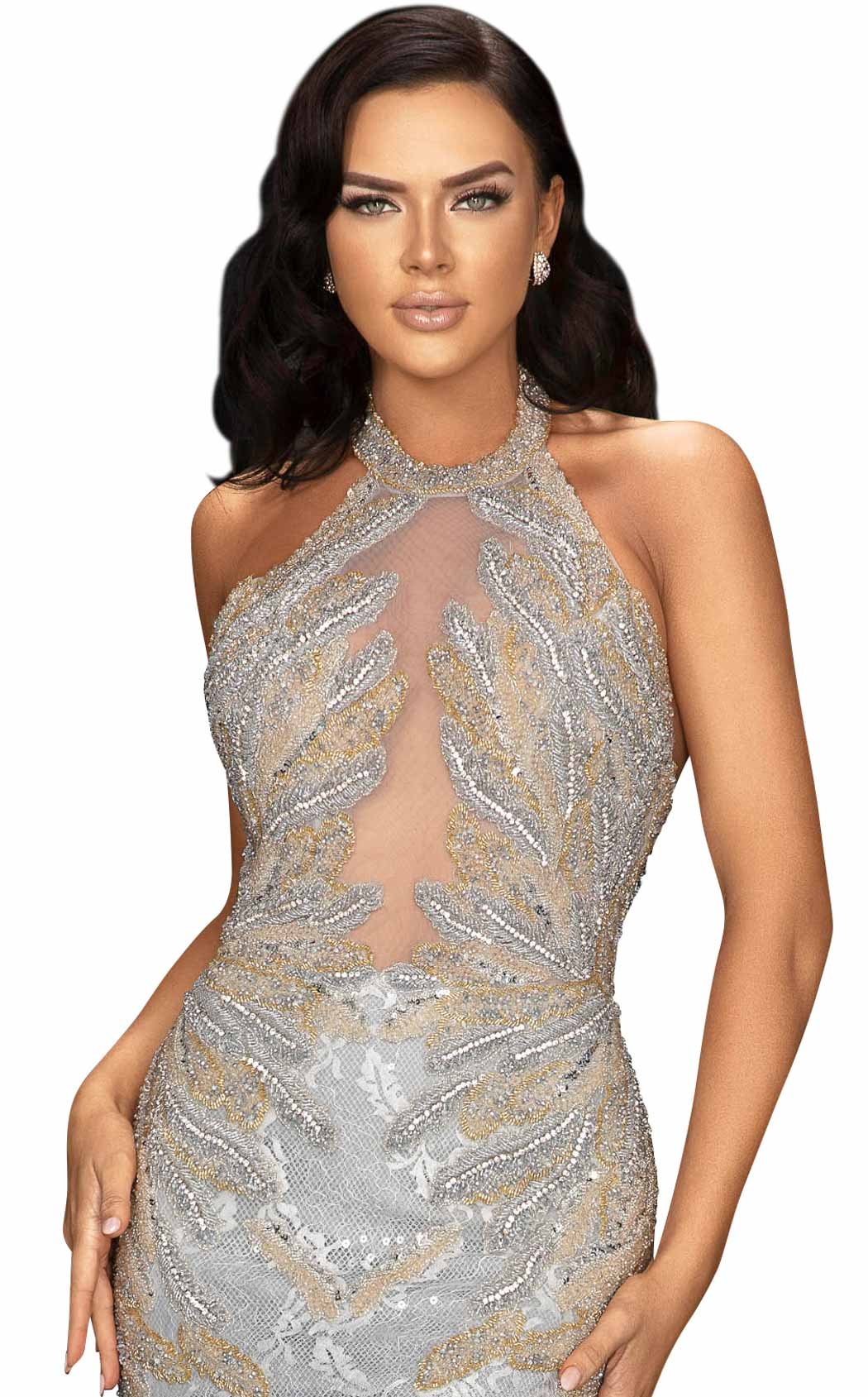 Terani 2011GL2211 Dress - Image 3
