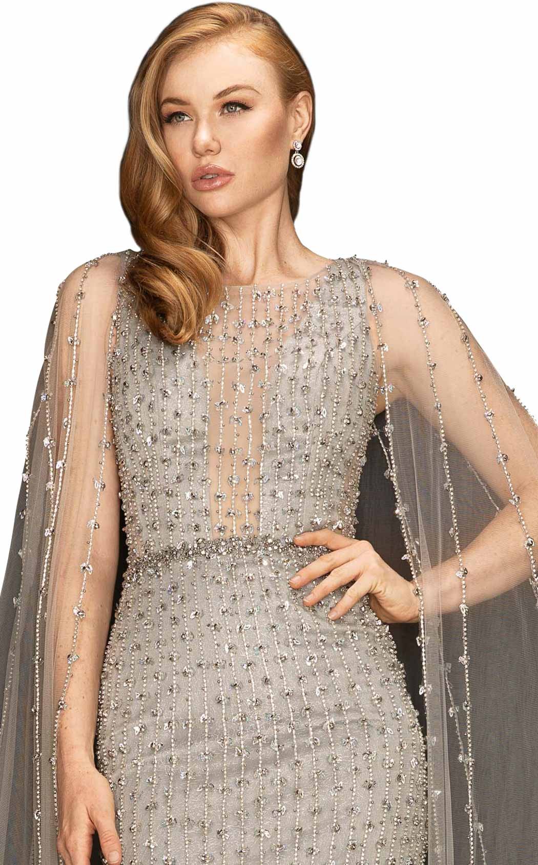 Terani 2011GL2217 Dress - Image 5