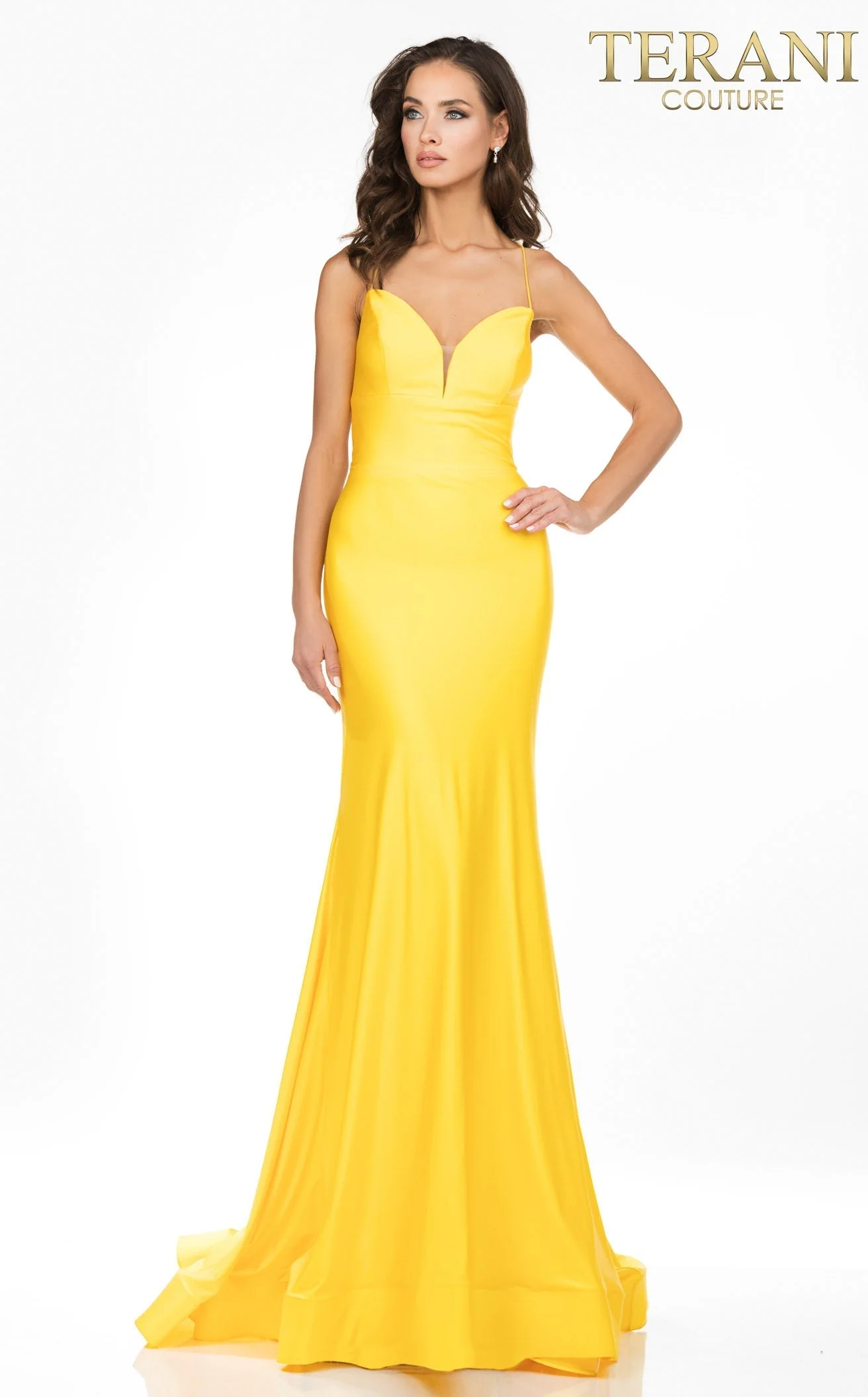 Terani 2011P1234 Dress - Image 3