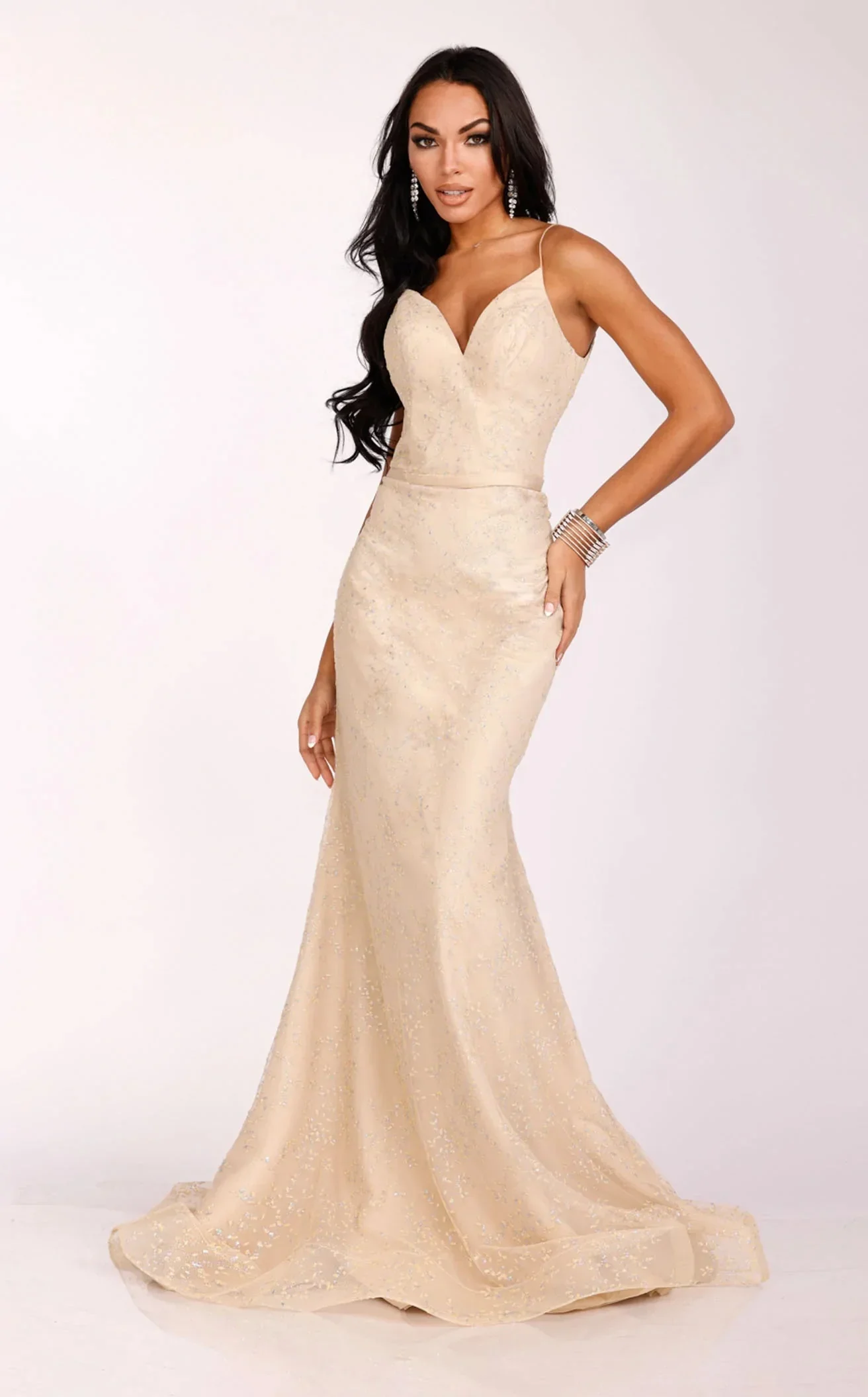 Terani 231P0038 Dress