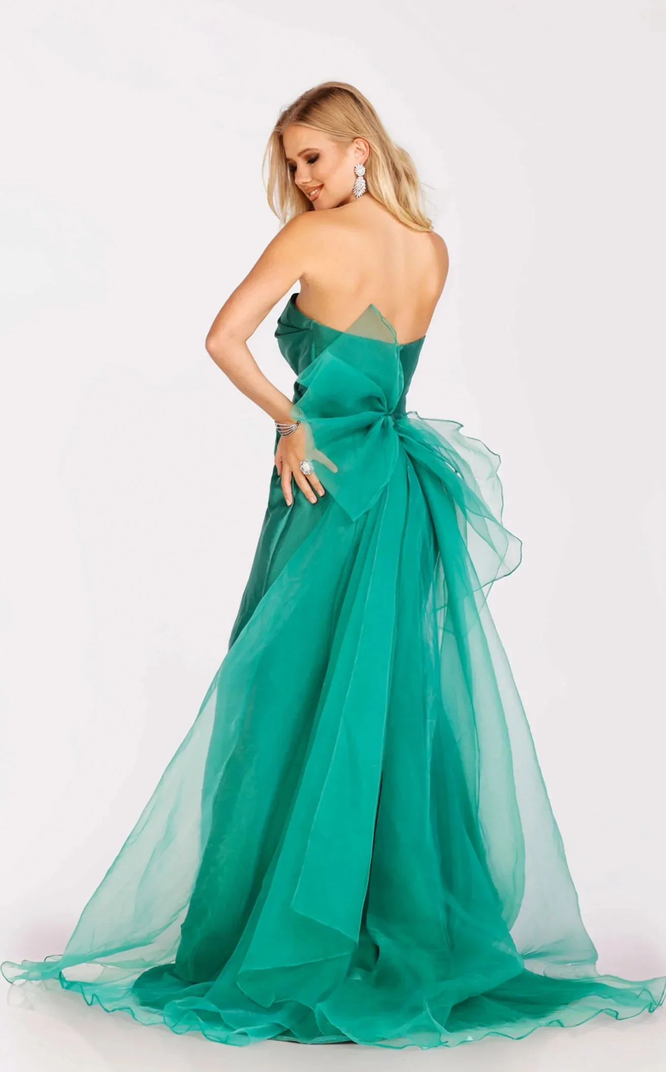 Terani 231P0108 Dress - Image 6
