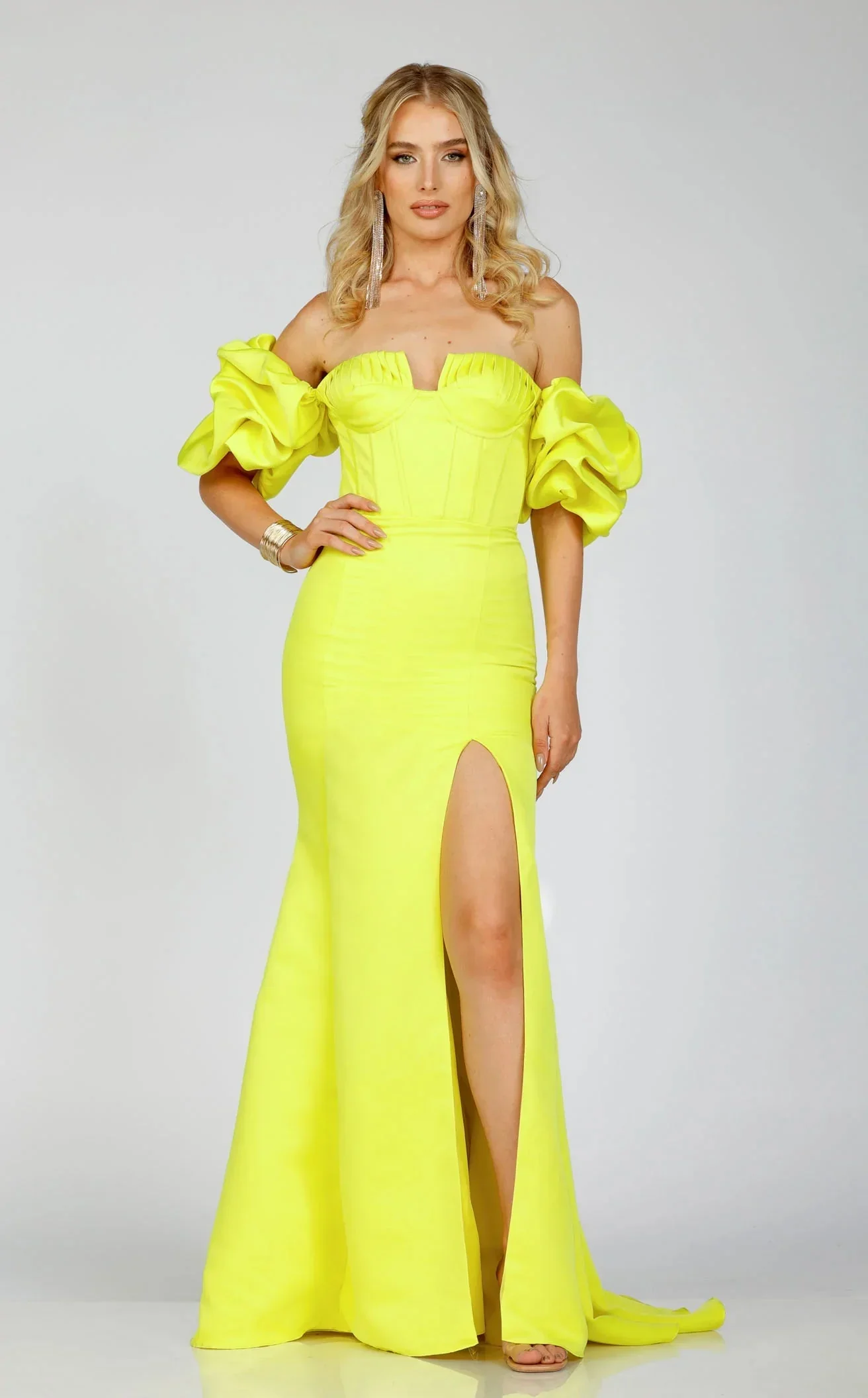 Terani 231P0181 Dress
