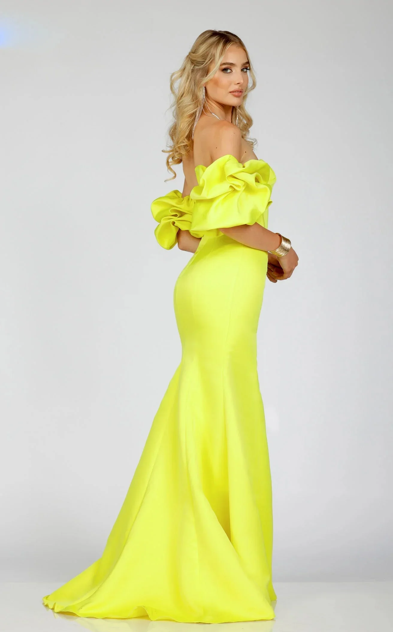 Terani 231P0181 Dress - Image 5