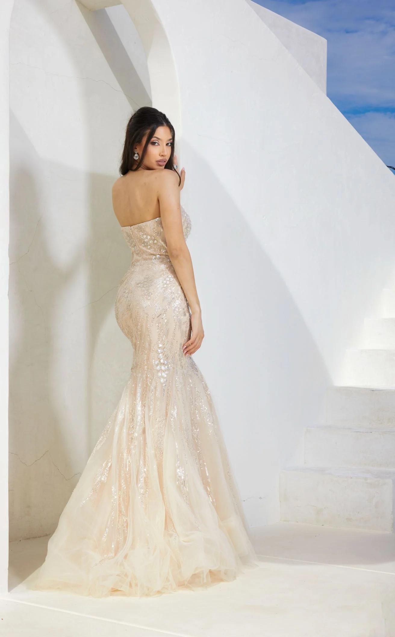 Terani 241P2219 Dress - Image 6